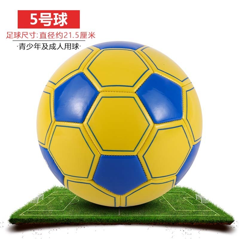 足球儿童4号小学生专拥3号宝宝幼儿5号成人四号真皮迷你比赛专业A|undefined