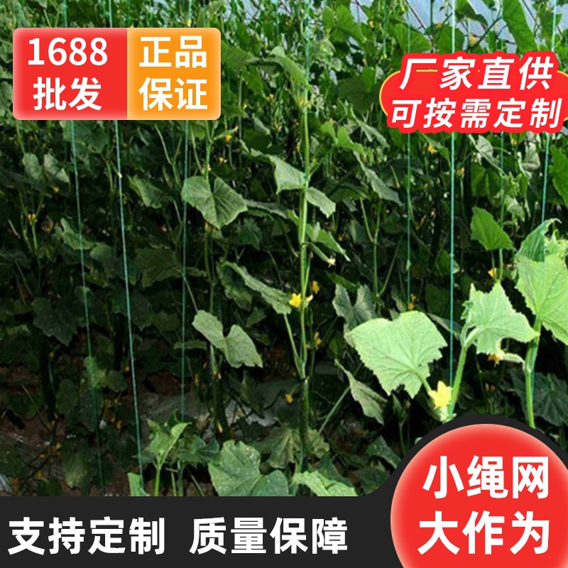 河源福建梅州百香果耐老化PE爬藤网 植物攀爬网 聚乙烯黑色有结网