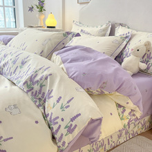 sļ 60֧ȫС黨ͨWᴲα״