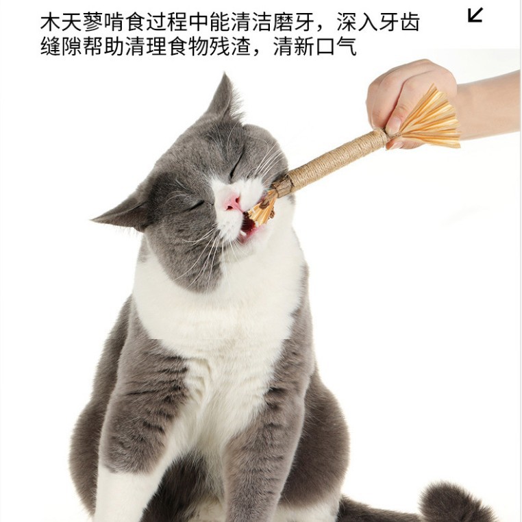 Nuevo juguete para gatos