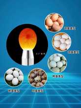 ?�յ���led���Ͳ����򞵰�����ɳ���յ������N�z�����824