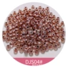 DS04