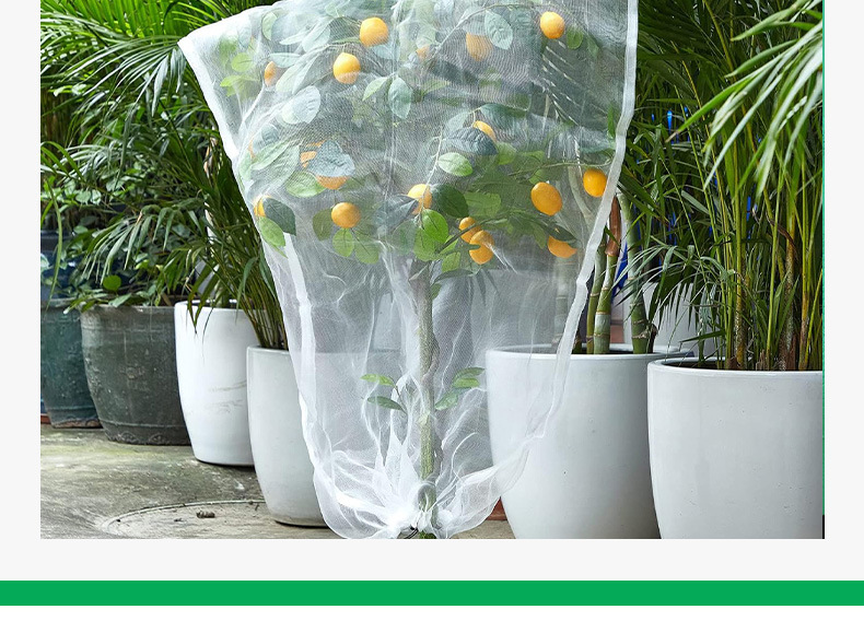 O1CN016muz6I1bp0KciqjFm_!!2217637133513-0-cib.jpg?__r__=1714120195981