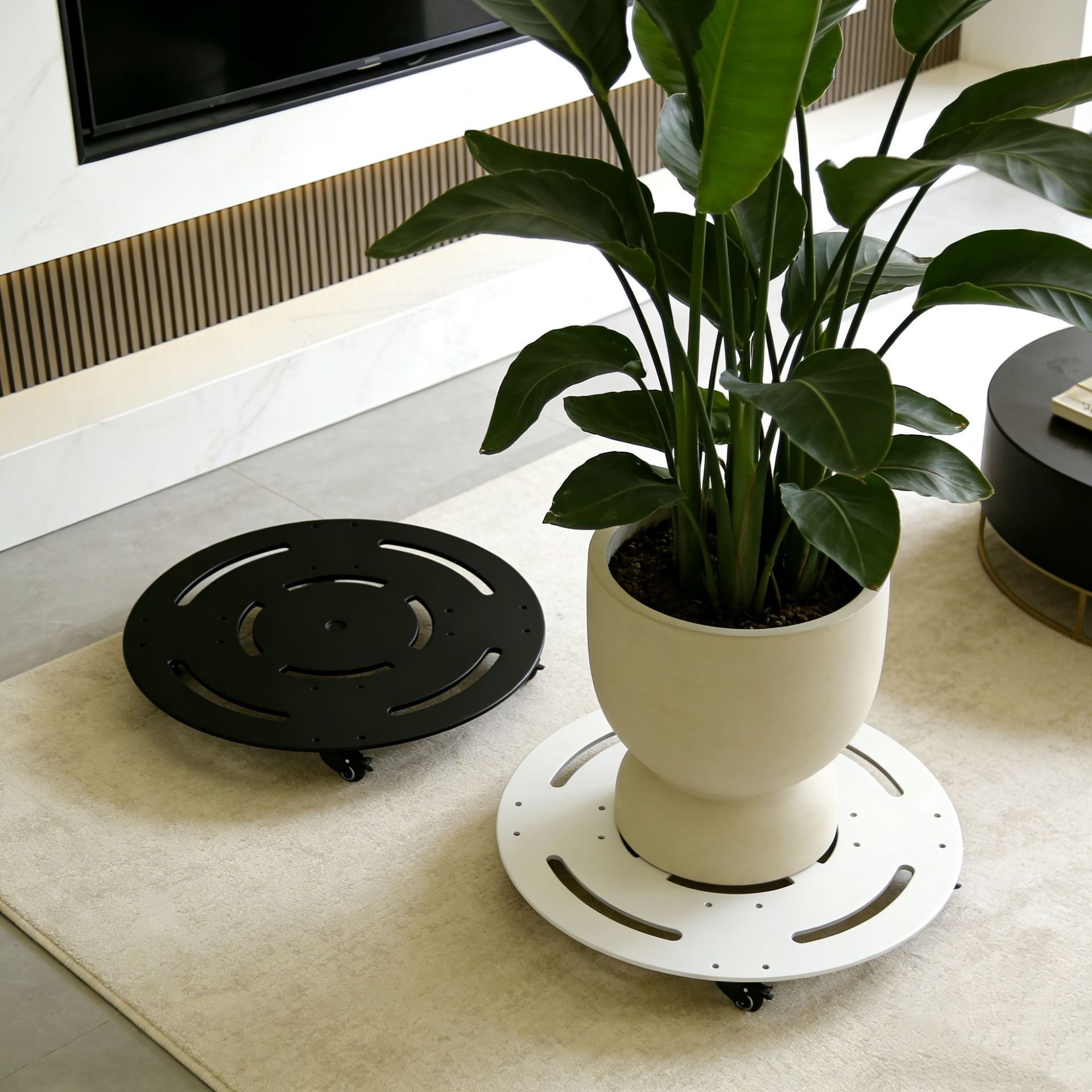 soporte de fondo de maceta de placa de acero móvil redondo gran rodante rodante universal para fijar soporte de fondo de maceta de plantación verde interior
