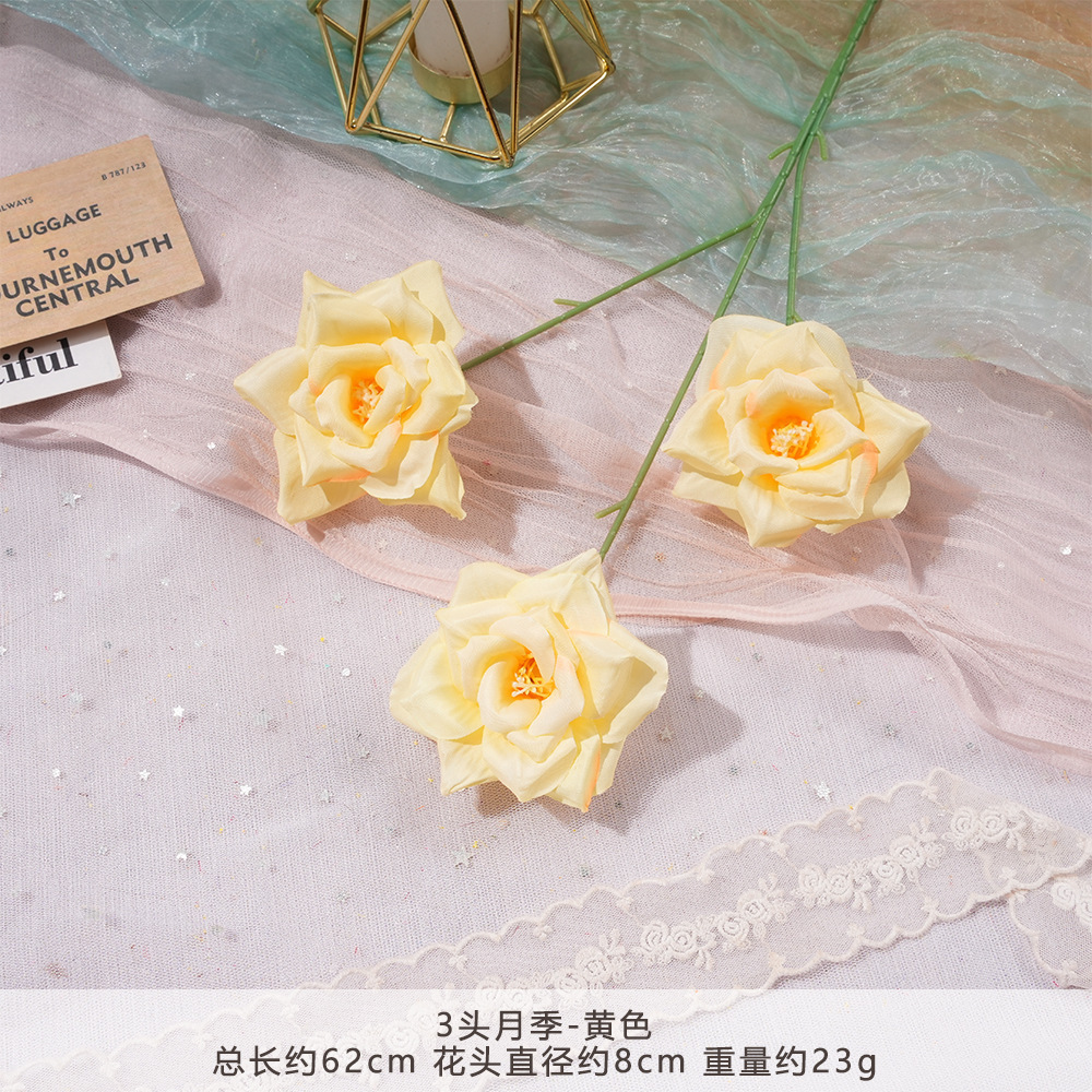 ZYJ2-3头月季-黄色