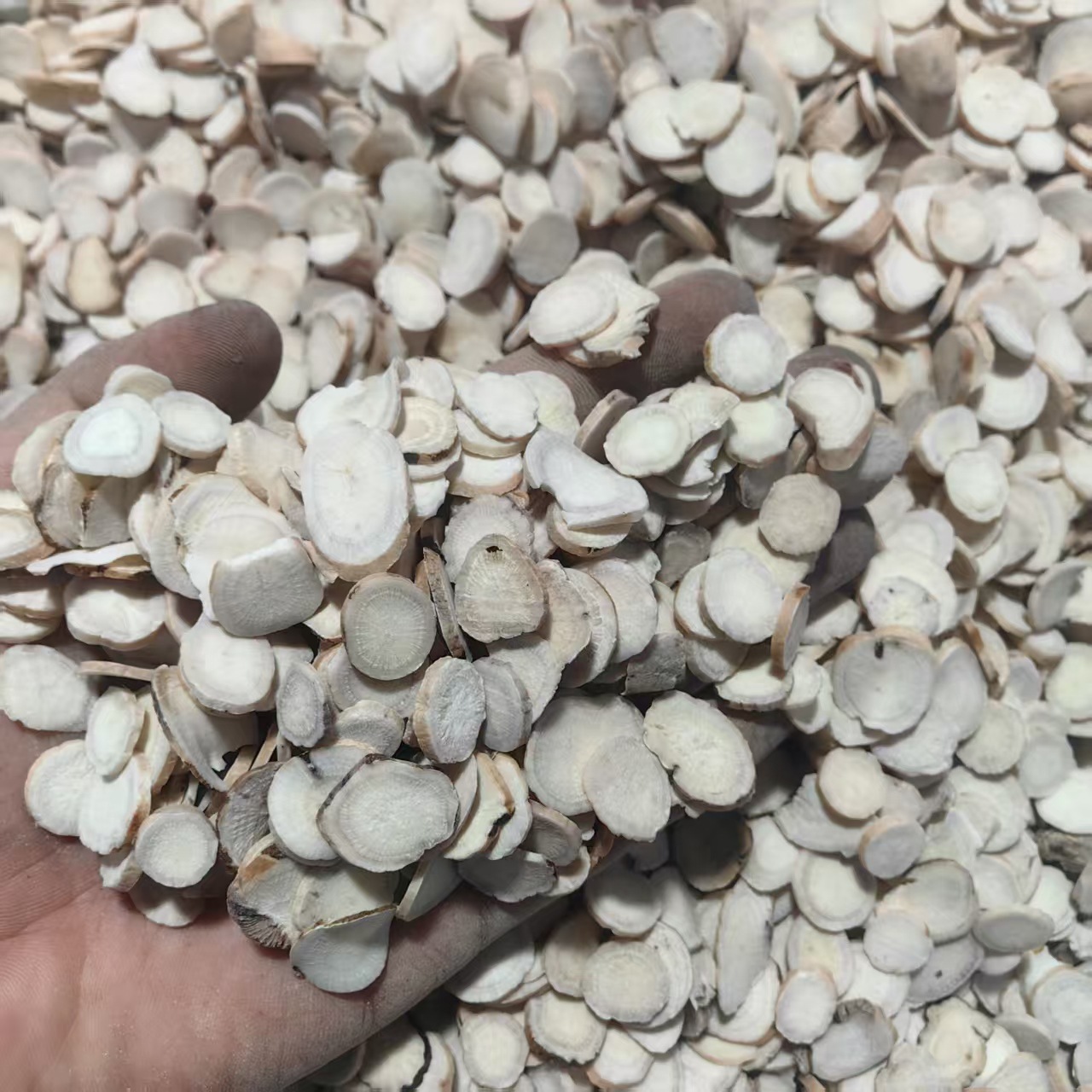 White Peony Root Slices Bai Shao 白芍 Sulfur-Free Dried Herb for Decoction and Powder quality and texture