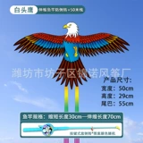 【50cm 6 】 + Синий