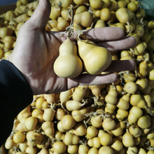 ��Ȼ���JС���������ֶռ��^���κ��J��4-7�����S�C�l؛9.9Ԫ���]