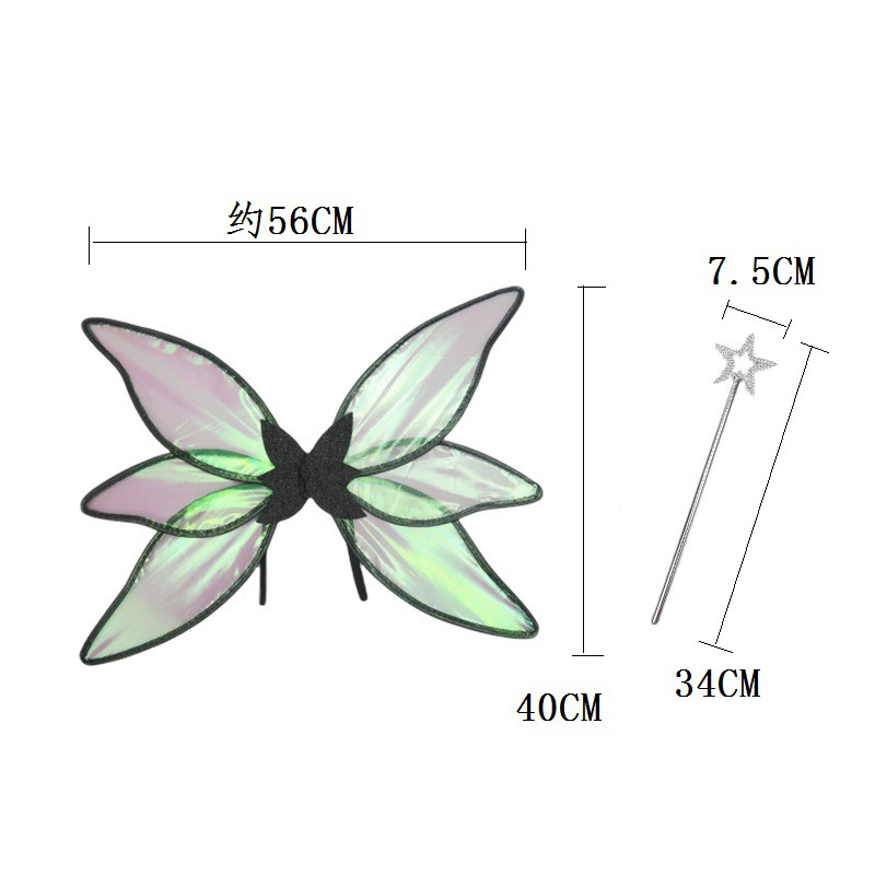 6片透明翅膀 (4).jpg