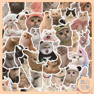 60���ɐی���؈���N ����ͨ����؈؈���~�����ľ��b�diy��ˮ�N��