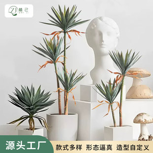 �M�~��Ѫ�����Gֲ�Pβ�z�m���m�F�Ҿӿ͏d�����b[����Ѫ��
