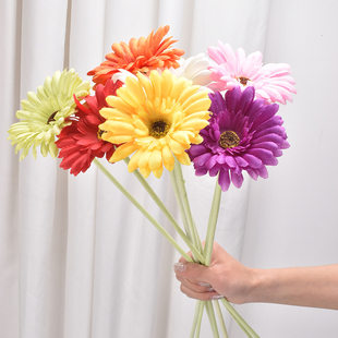 Single little sun flower Fulang flower simulation flower home wedding decoration African chrysanthemum chrysanthemum fake flower manufacturer