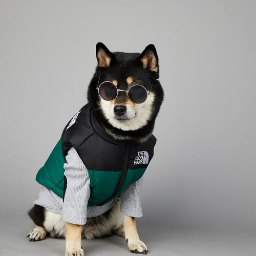 US Brand Dog Face Windproof Rainproof Large Dogs Winter Warm Raincoat Dog Pet Cotton Coat Down Jacket 
