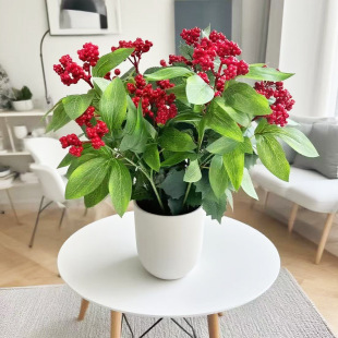 �羳����t�{��������ĭ�{ݮ��ʯ�������ˮ���������ɫ�b�