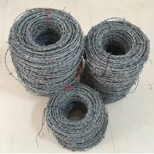 ����ģ�M����̽z�K�߸��;W�̾��И��F�z�W�ߵ�������������W