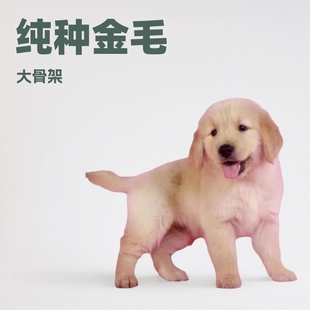 ��ë���w������Ȯ���N��ë��Ȯ���w��Ǽ� ���B���^��ëȮ����