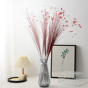 �羳����20�^��ȸ�ݻ�c�̈�������JȔ�������b��쾰�廨�ٻ�