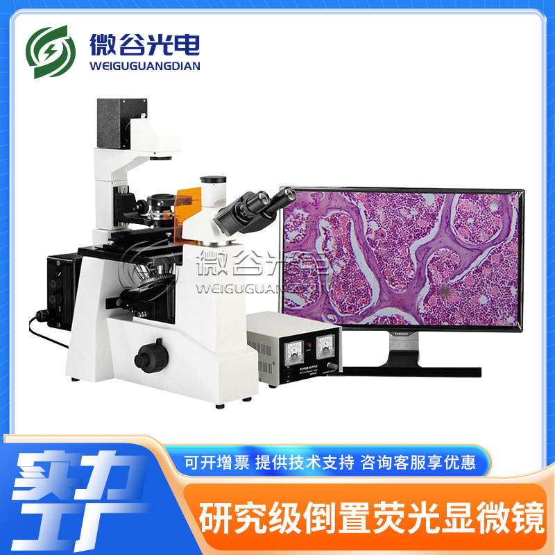 微谷显微镜销售 高端研究级倒置荧光显微镜 专业检测荧光DCYG3