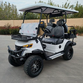 电动观光车;高尔夫球车;消防车