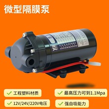 DP-150 ��Ĥ��|12V/24V ֱ�� |220V ���� | ���B͸��ˮ|�x���O��