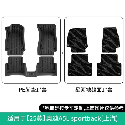 Modelə uyğun ayaqaltı A5L Sportback Car Floor - 25-models-of-audi-a5l-sportback-double-layer-galaxy-blanket-floor-mats
