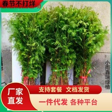 һ�����l����ˮɼ��������ɼС��ͥԺ��߅��·�r��ռ���o���ļ���