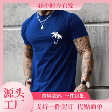 Men's 100 Cotton Short Sleeve T-shirt Top Loose PLUS SIZE