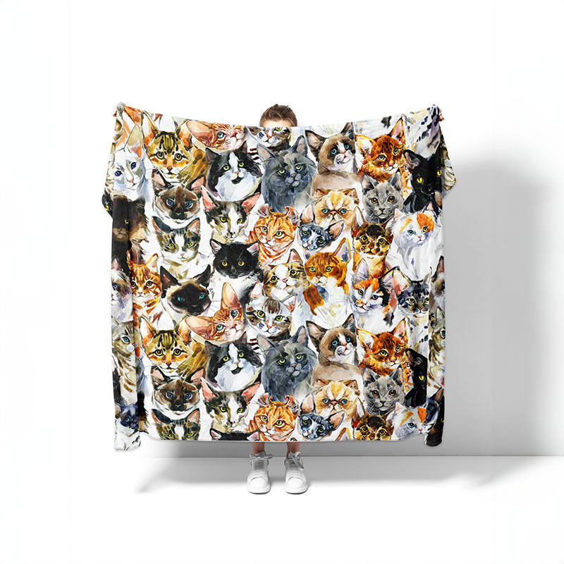 Fotos de mantas transfronterizas Impresión digital Manta de lana de brida tridimensional 3D Manta de aire acondicionado Tapa de tapicería Personalización de la imagen