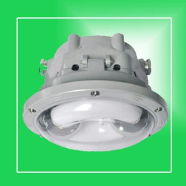 其他专用灯具;防爆灯;其他室外照明