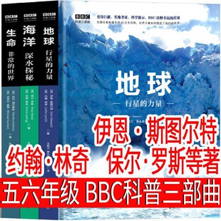 BBC���������� ���꼉���꼉�n���������� ���� ���� ���� ����