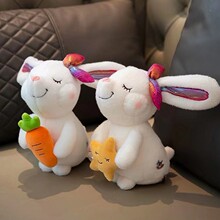 С����ë�q��ż��ͨ8��ë�q������Ӄ�ͯ���l�˴羫Ʒץ�Cë�q��