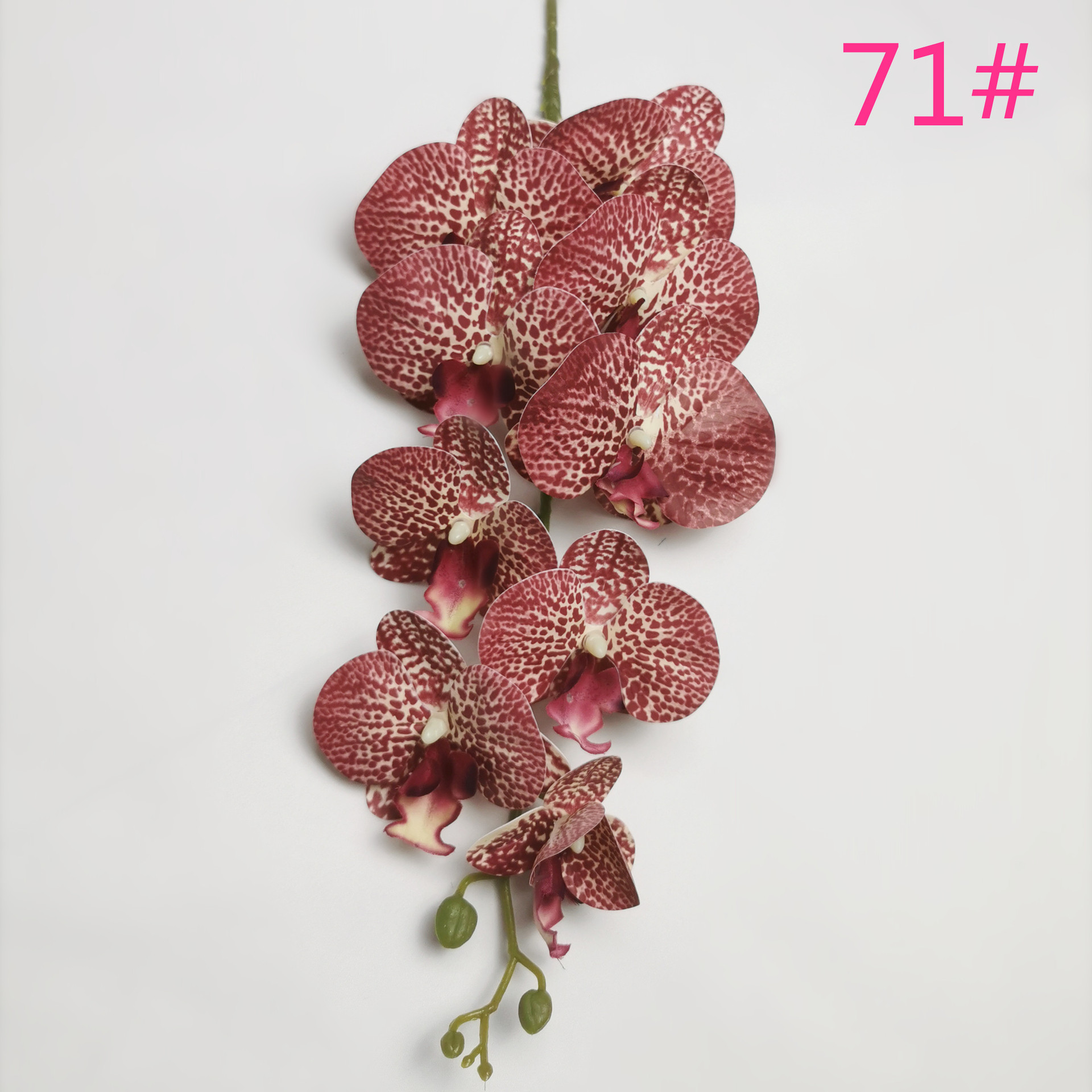 IMG_20220531_183204_副本