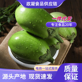 �������r�G�����r���ԷN�߲ˬFժ�F�l1��3��5�������Ӂ��R�d���]