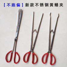 ���l�S�X�A�~���s�������S�X�A�ӊA�зץ���r���q����ƫ�X�~�Q��