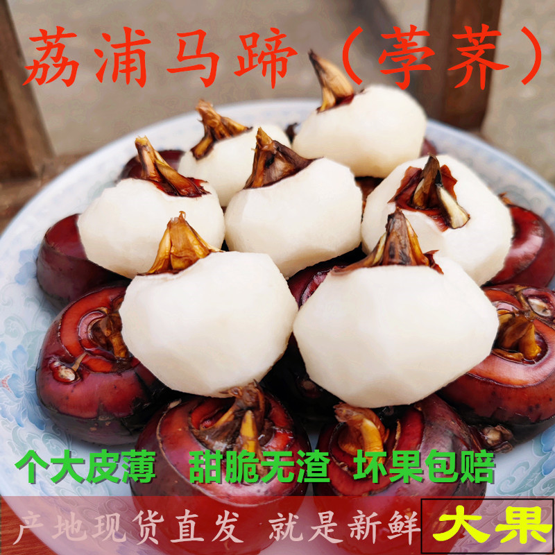 荔浦马蹄荸荠农家自种新鲜现挖脆甜大马蹄当季水果蔬菜