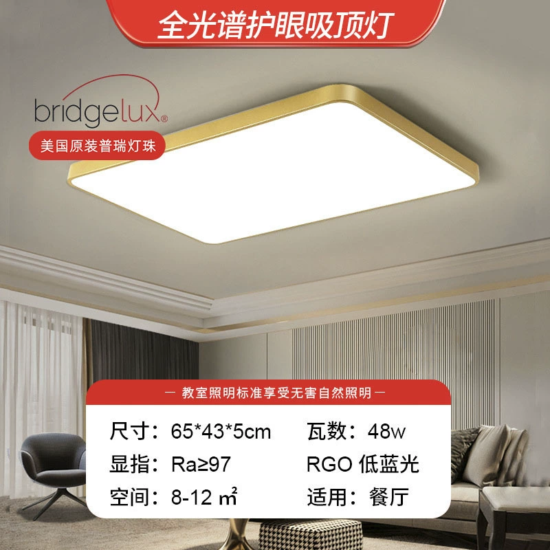Golden LED ceiling light, lights for corridor, room light, light luxury style