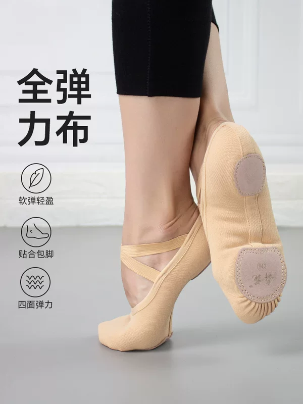 Elastic ballet shoes, footwear, wholesale
