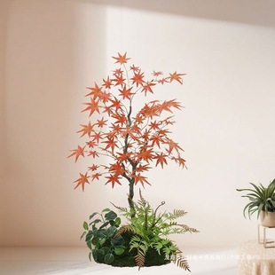 �¿���˾Gֲ�ٻ�����ֲ���҃��b[�����Ϳ͏d�t���٘�����