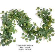 �羳���Sֱ�� �����ȼ����ٗl��������Ҿӻ�Y�b���Gֲ�ٗl