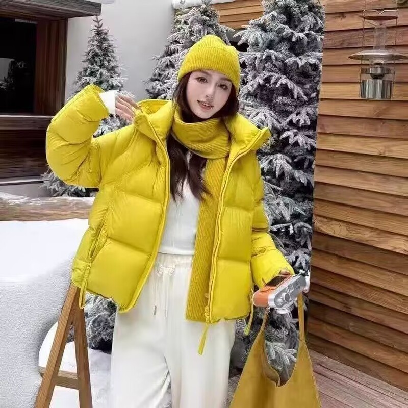 Cloud Puff Short down Jacket for Women, New Winter Thickened Warm Hooded Popular White Duck down High-Quality Coat Cloud Puff Short down Jacket for Women, New Winter Thickened Warm Hooded Popular White Duck down High-Quality Coat