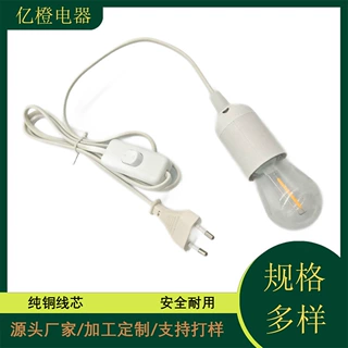 欧标二芯直线插头线+303开关+DC专用E27灯头尾
