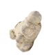Yunnan Panax Notoginseng Wenshan Freeze-Dried Panax Notoginseng Individually Packaged Cooled Panax Notoginseng Premium Genuine Whole Panax Notoginseng Wholesale