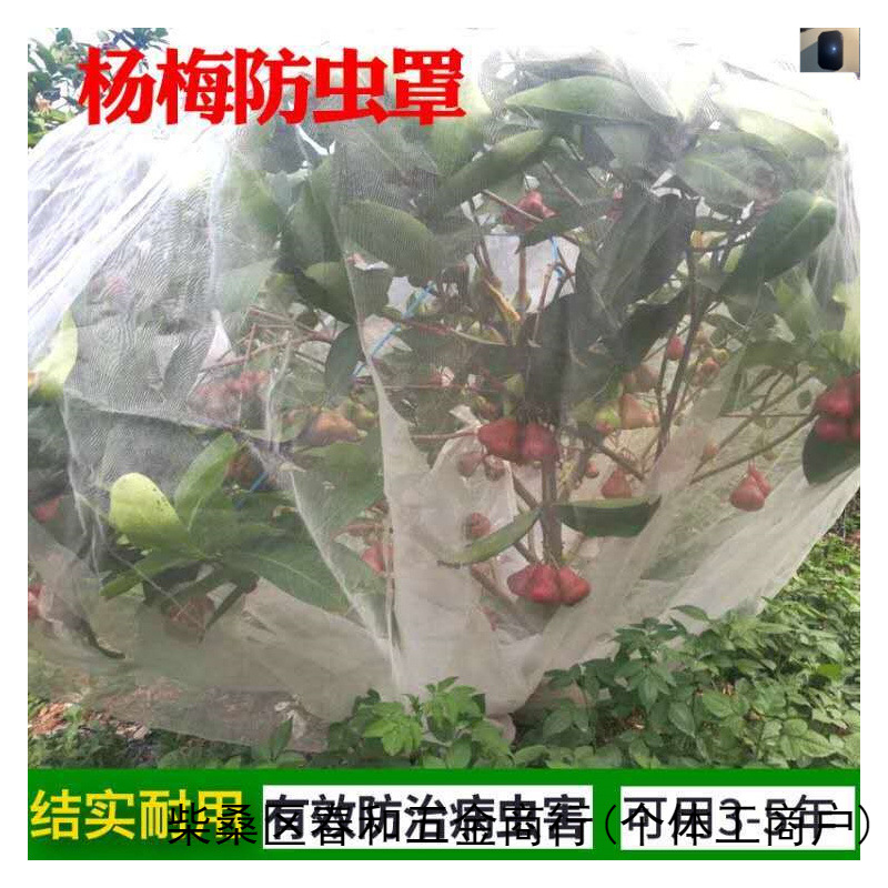 杨梅网罩樱桃防虫防风防鸟网水果树罩多肉莲雾桃树罗幔大棚罩