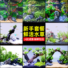 ��ˮ������ǰ���󾰑������B���B���쾰�~��ˮ������w��Բ��ײ�