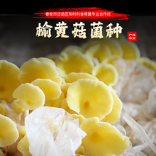 ��6���b���S�����N����ʳ�þ���ͥ�Nֲ���Ģ���Ģ�҃ȷNֲ����