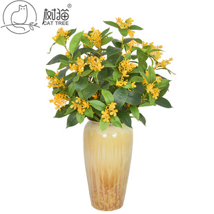 �¿����� ���~��֦ ����ֲ������b廨�[����Y���üٻ�