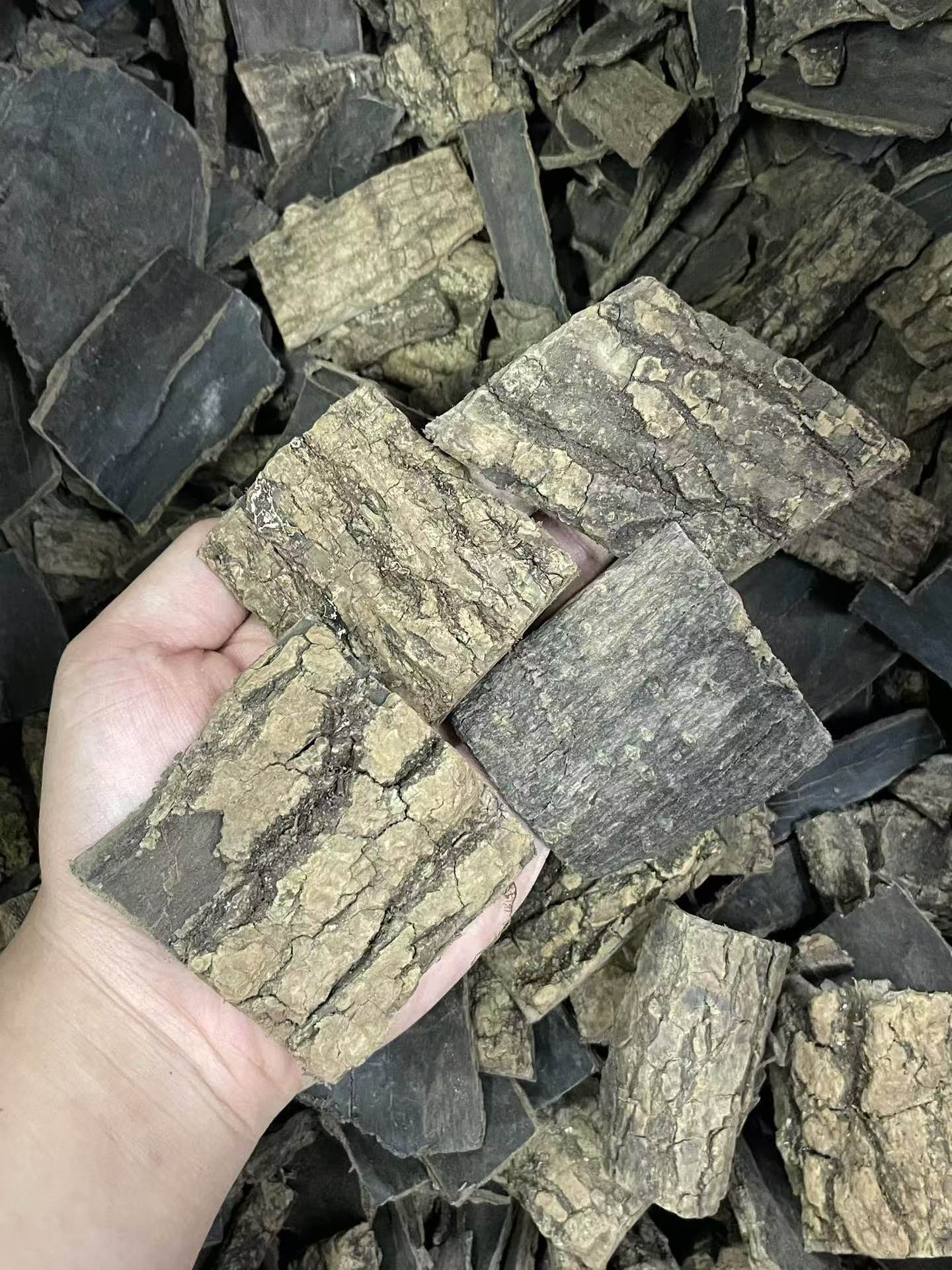Dried Eucommia Bark Slices Du Zhong 500g Selected Grade for Traditional Herbal Decoction and Soup quality and texture