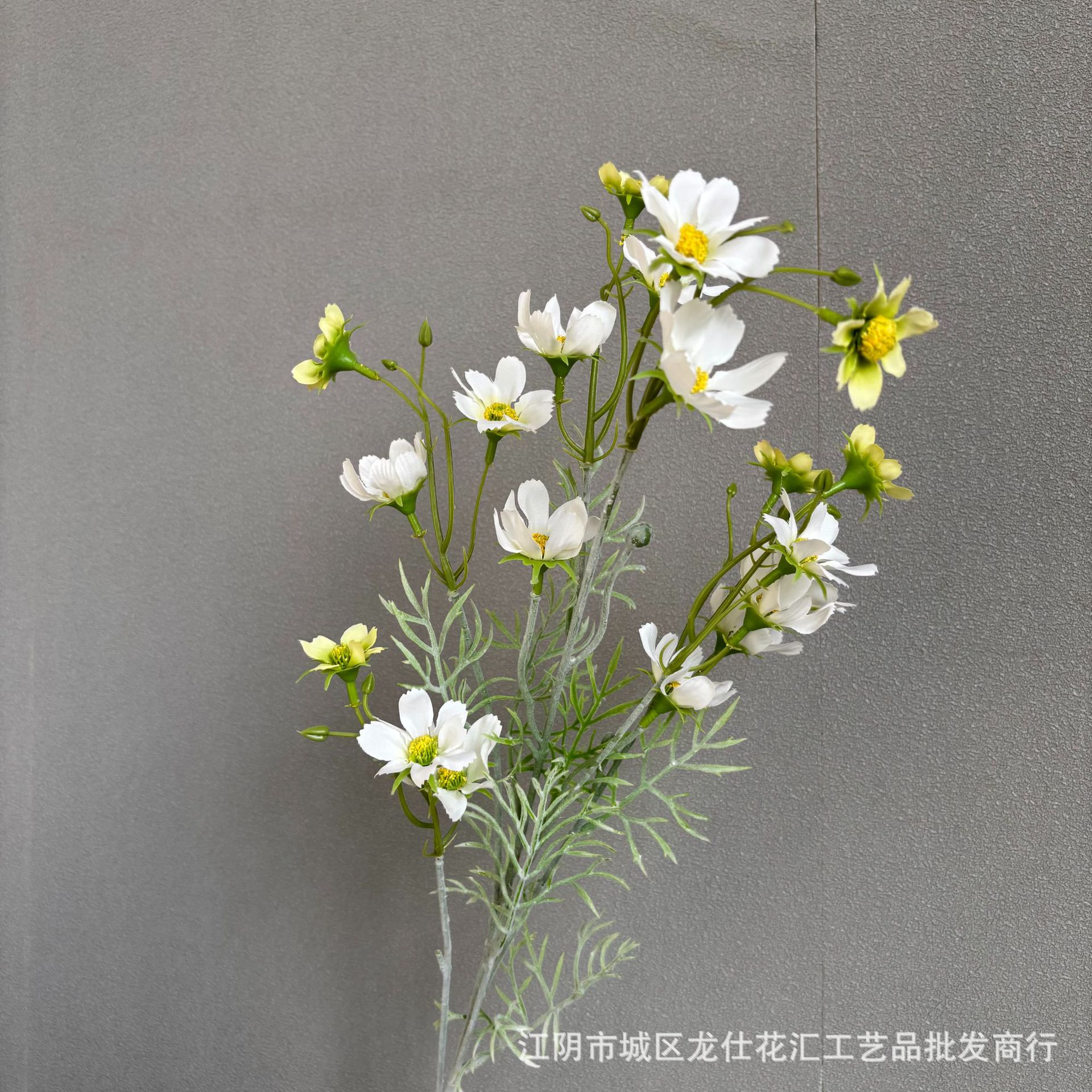 별빛 꽃