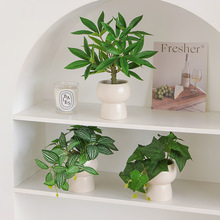 ���Wֲ�����Gֲ�����zӰ���߿͏d�[���ٻ����˽≺�B���������