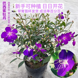 ������������ĵ������Ұĵ�������҃ȿ͏dֲ������ļ��_���ͺ�